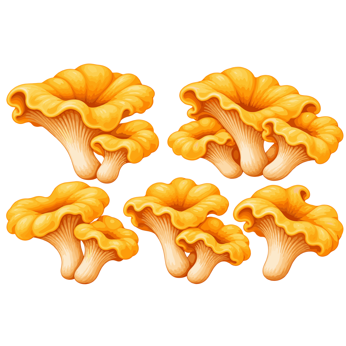 Golden chanterelle mushroom clipart set with autumn forest fungi