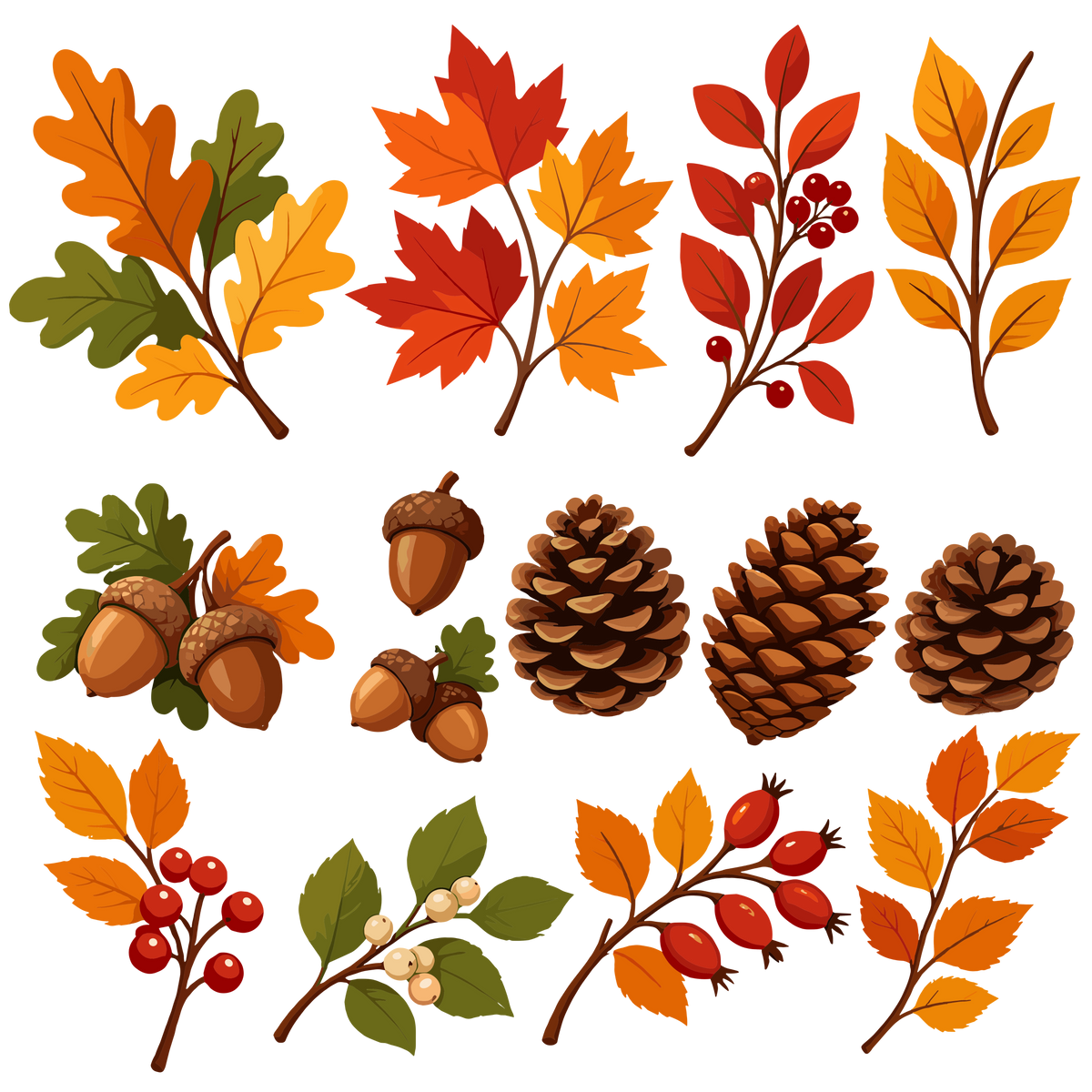 Autumn leaves, berries, acorns and pine cones clipart set