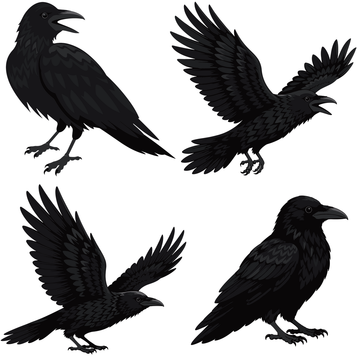 Black raven Halloween clipart