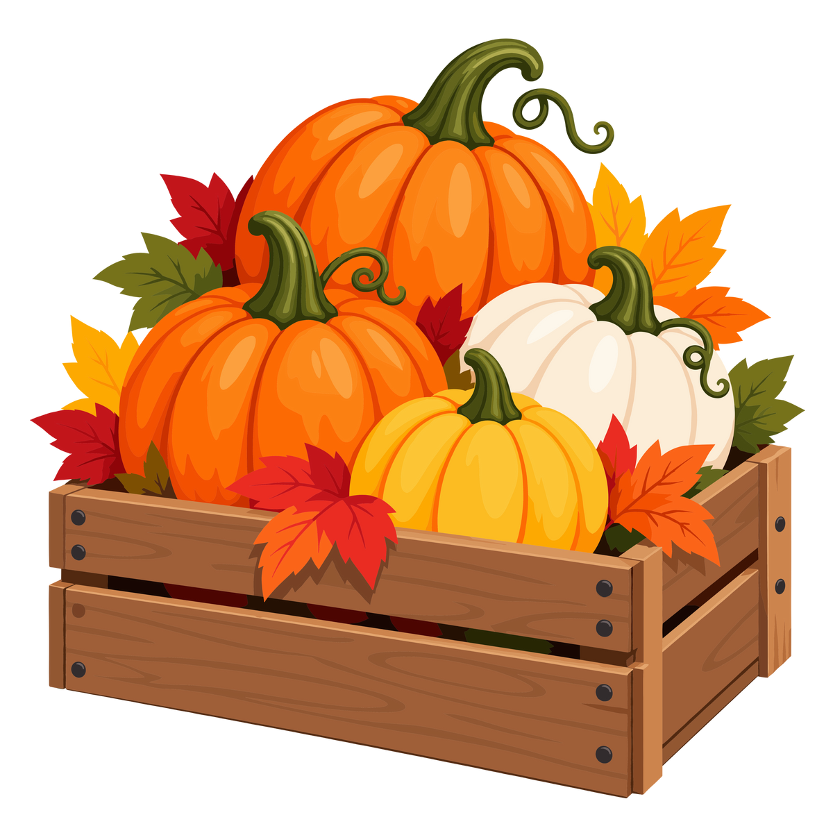 Decorative autumn pumpkin crate with orange, white and yellow pumpkins and fall leaves