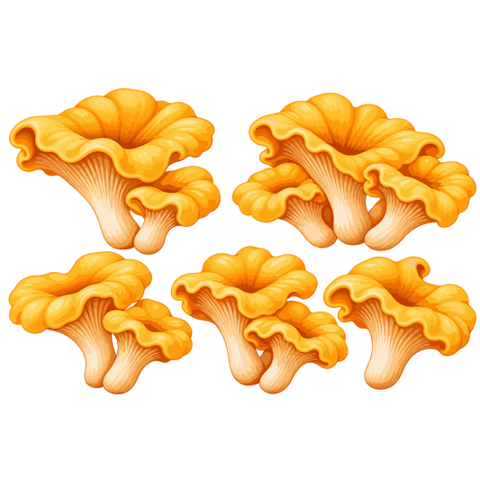 Golden chanterelle mushroom clipart set with autumn forest fungi