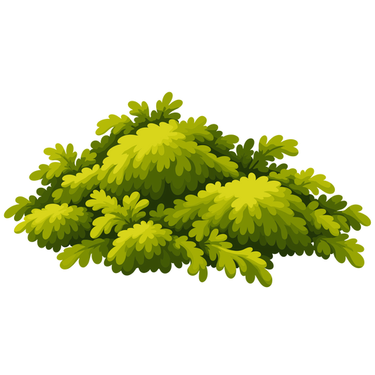 Green mossy forest ground cover and woodland foliage clipart
