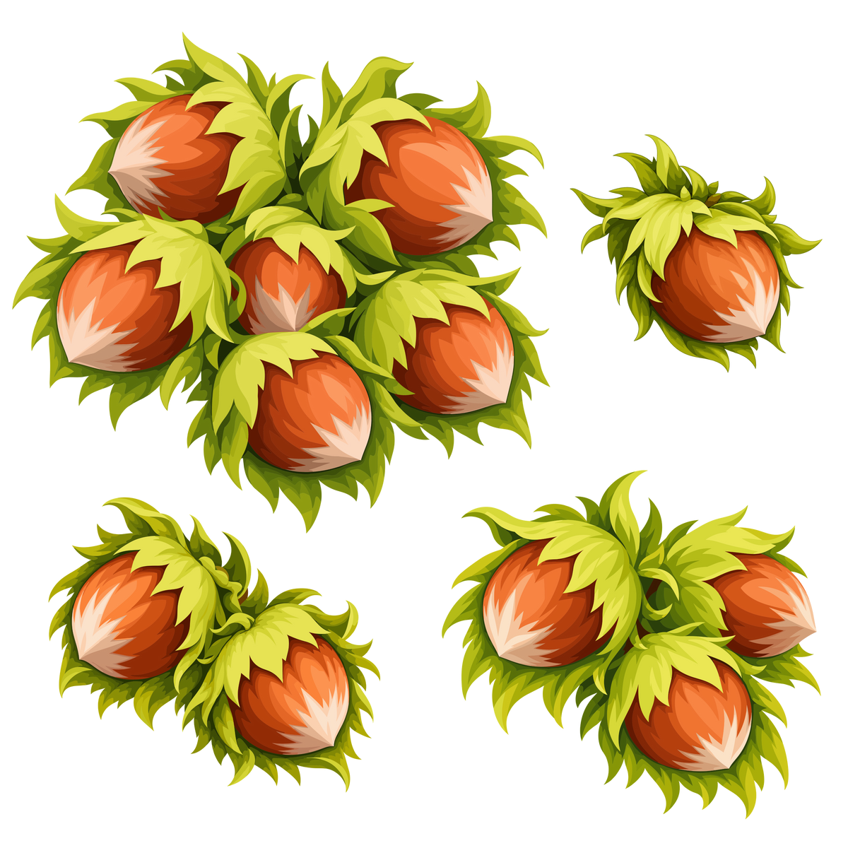 Autumn hazelnut clipart set with green husks