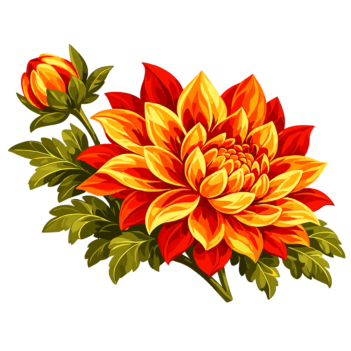 Autumn chrysanthemum flower clipart with vibrant red orange and yellow petals