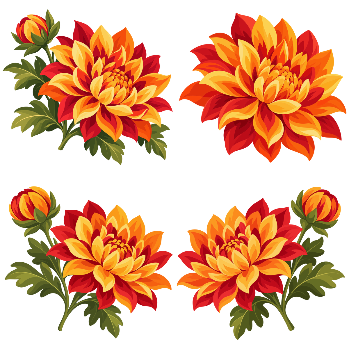 Autumn chrysanthemum flower clipart set with red orange and yellow blooms