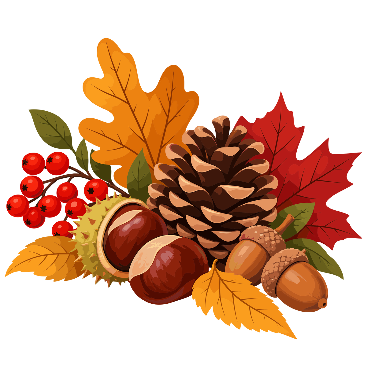 Autumn pine cone, acorns, chestnuts, berries and colorful leaves clipart