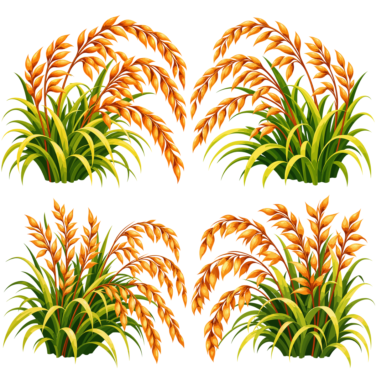 Autumn rice grass set with golden grain heads and green foliage for harvest designs
