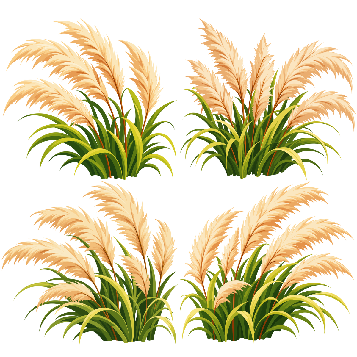 Autumn pampas grass set with soft beige plumes and green foliage for seasonal designs