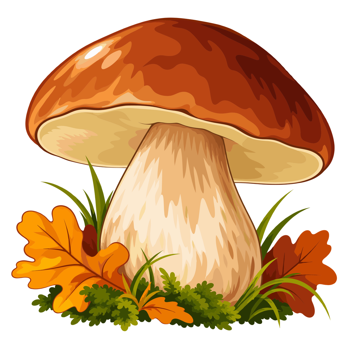 Autumn mushroom clipart with oak leaves grass and woodland foliage for seasonal designs